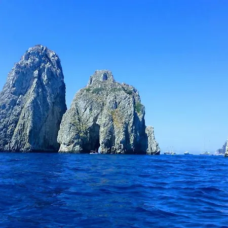 Le Muse Готель типу 