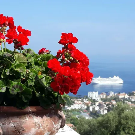 Alojamento de Acomodação e Pequeno-almoço Le Muse Sorrento