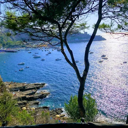 Alojamento de Acomodação e Pequeno-almoço Le Muse Sorrento